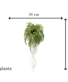 Fougère artificielle suspendue - Jolie | 35 cm