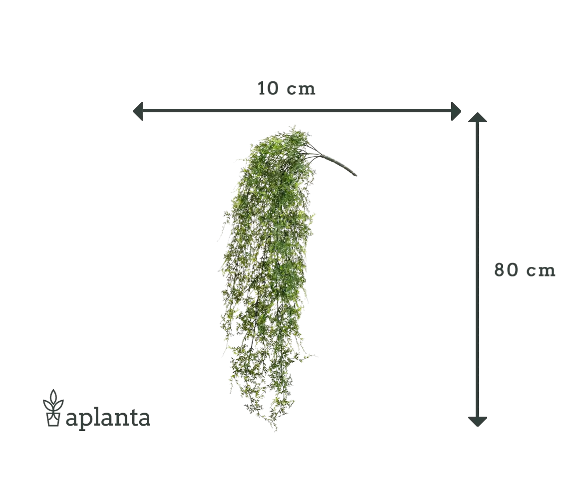 Fougère artificielle suspendue - Katharina | 80 cm, plante à bouturer