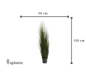 Herbe artificielle - Hanno | 120 cm