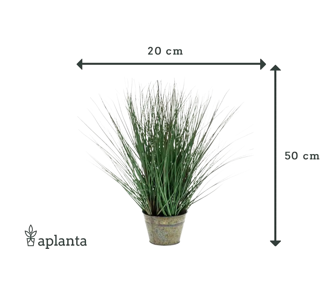 Herbe artificielle - Irene | 50 cm