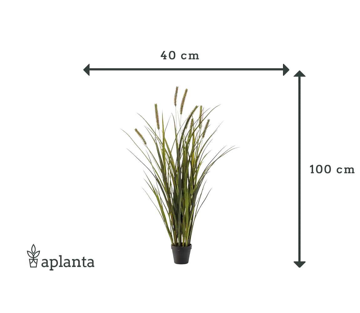 Herbe artificielle - Patrizia | 100 cm