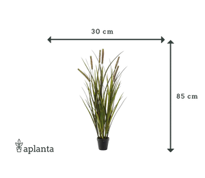 Herbe artificielle - Patrizia | 85 cm