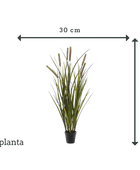 Herbe artificielle - Patrizia | 85 cm