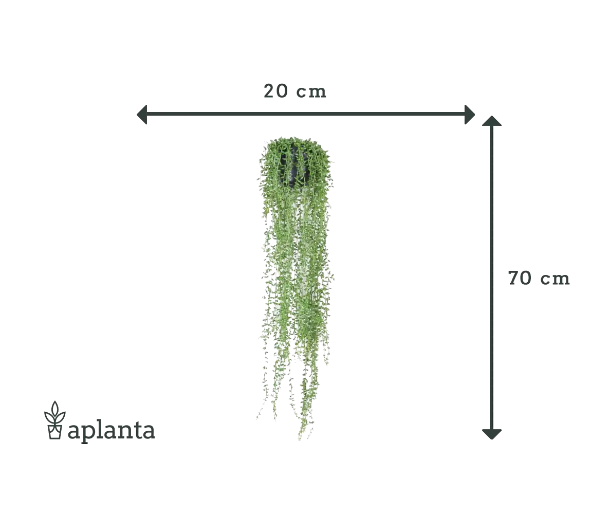 Plante de pois artificielle - Karina | 70 cm