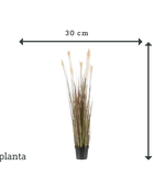 Herbe de la pampa artificielle - Franziska | 120 cm
