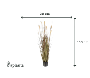 Herbe de la Pampa artificielle - Franziska | 150 cm